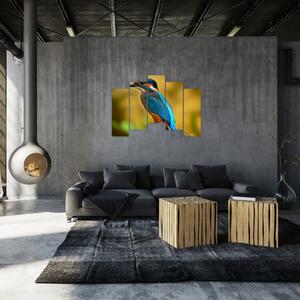 Obraz - farebný vták (Obraz 125x90cm)