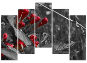 Červené kvety - moderné obrazy (Obraz 125x90cm)