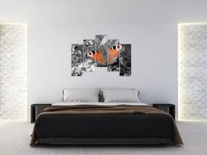 Oranžový motýľ - obraz (Obraz 125x90cm)