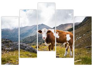 Obraz kravy na lúke (Obraz 125x90cm)