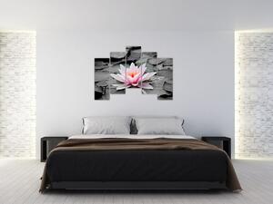 Obraz kvitnúceho lekna (Obraz 125x90cm)