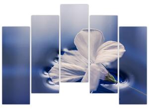 Obraz bieleho kvetu vo vode (Obraz 125x90cm)