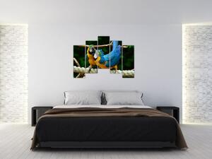 Obraz papagájov na lane (Obraz 125x90cm)