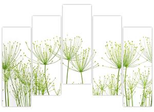 Obraz rastlín na bielom pozadí (Obraz 125x90cm)