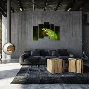 Obraz žaby (Obraz 125x90cm)