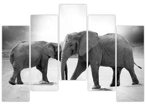 Obraz - slony (Obraz 125x90cm)