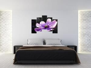 Obraz fialového kvetu (Obraz 125x90cm)