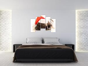 Obraz psa s čiapkou (Obraz 125x90cm)