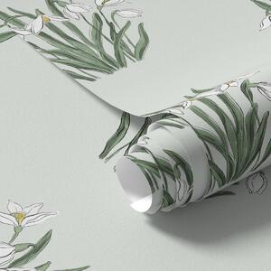 Tapety Snežienky na mätovej, Tapety kvety, a00651 : Uwalls.sk