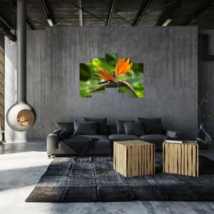 Detail kvetu - obraz (Obraz 125x90cm)