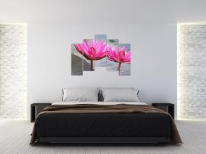 Obraz dvoch kvetov (Obraz 125x90cm)
