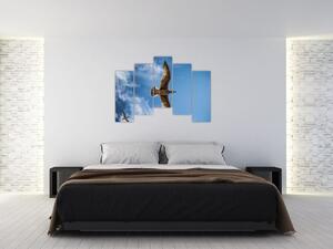 Obraz letiaceho vtáka (Obraz 125x90cm)