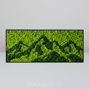 Machový obraz - obdĺžnik - MONTARA