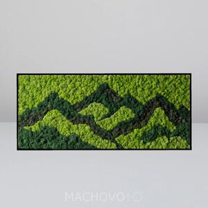 Machový obraz - obdĺžnik - ALPIRA