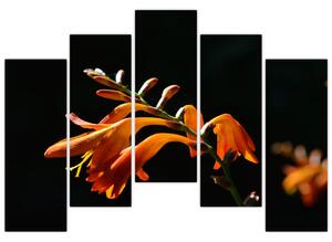 Obraz detailu kvety (Obraz 125x90cm)