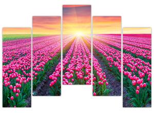 Obraz - polia kvetov (Obraz 125x90cm)