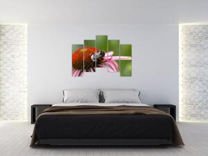 Obraz včely na kvete (Obraz 125x90cm)