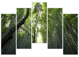 Obraz lesov (Obraz 125x90cm)