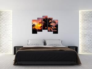 Obraz palmy na stenu (Obraz 125x90cm)