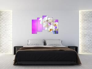Obraz s orchideí (Obraz 125x90cm)