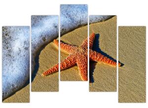 Obraz s morskou hviezdou (Obraz 125x90cm)