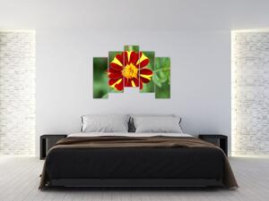 Obraz kvety na stenu (Obraz 125x90cm)