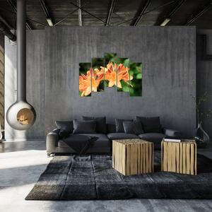 Oranžové kvety (Obraz 125x90cm)