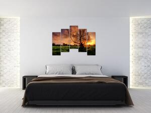 Západ slnka, obrazy (Obraz 125x90cm)