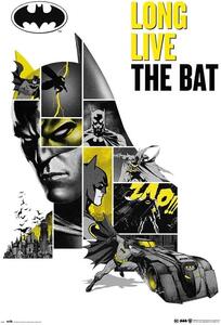 Plagát, Obraz - Batman - 80th Anniversary