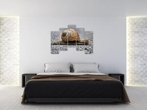 Ulita slimáka, obraz na stenu (Obraz 125x90cm)