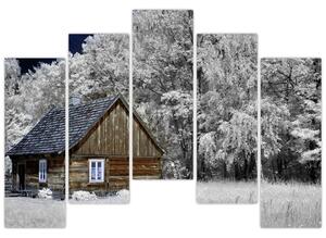 Chaloupka v zime, obrazy (Obraz 125x90cm)