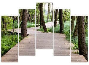 Cesta v lese - obraz (Obraz 125x90cm)