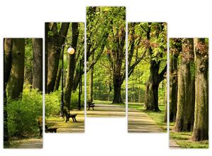 Cesta v parku - obraz (Obraz 125x90cm)