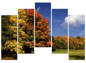 Jesenné stromy - obraz do bytu (Obraz 125x90cm)