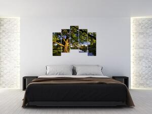 Obraz stromu (Obraz 125x90cm)