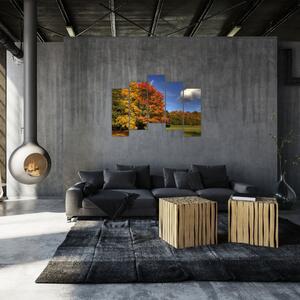 Jesenné stromy - obraz (Obraz 125x90cm)