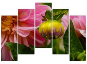 Obraz kvetu rastliny (Obraz 125x90cm)