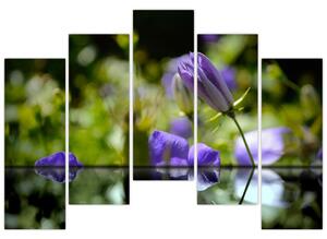 Modrá kvetina - obraz (Obraz 125x90cm)