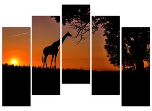 Obraz žirafy v prírode (Obraz 125x90cm)