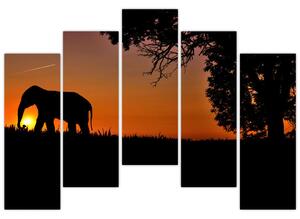Obraz slona v prírode (Obraz 125x90cm)