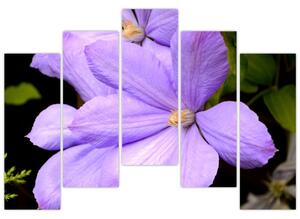 Obraz kvetu (Obraz 125x90cm)