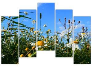 Obraz lúčnych kvetov (Obraz 125x90cm)
