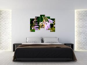 Kvety - obraz (Obraz 125x90cm)