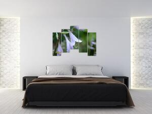 Obrazy kvetiny (Obraz 125x90cm)