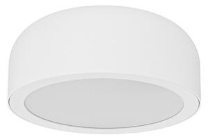 Open Design OR85884- LED stropné svietidlo CEDRONE LED/8W/230V CCT priem. 12 cm biela