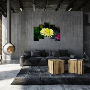 Obrazy kvetiny (Obraz 125x90cm)