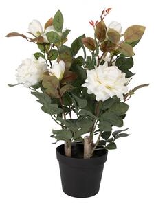 Dekoračná kvetina ruže s bielymi kvetmi Rose white - 20*20*55 cm - Clayre & Eef