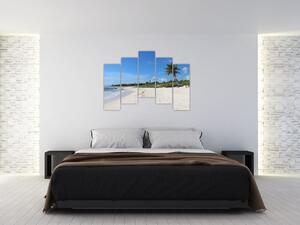 Exotická pláž - obraz (Obraz 125x90cm)
