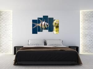 Ryba - obraz (Obraz 125x90cm)