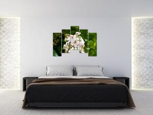Kvetina - obraz (Obraz 125x90cm)